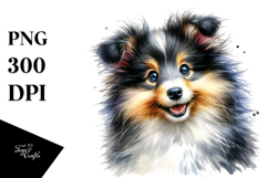 Happy Shetland Sheepdog PNG Product Image 1