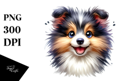 Cute Shetland Sheepdog Pup, Watercolor PNG Product Image 1
