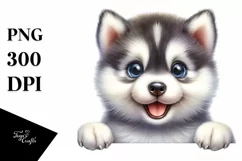 Funny Baby Siberian Husky PNG Product Image 1