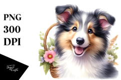 Adorable Collie, Transparent PNG Product Image 1
