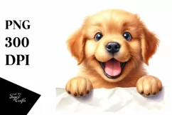 Crazy Looking Baby Golden Retriever | Clipart Product Image 3