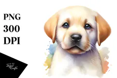 Expressive Baby Labrador Retriever PNG Product Image 1