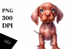 Baby Vizsla with Big Eyes | Clipart Product Image 1
