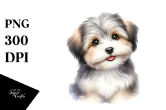 Watercolor Baby Havanese PNG Product Image 1