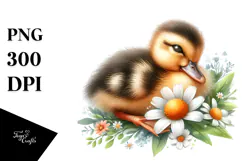 Digital Baby Duck, Sleeping on Flower PNG Product Image 1