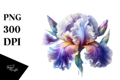 Iris Splash PNG Product Image 1