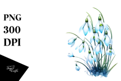 Snowdrop Splash PNG Product Image 1