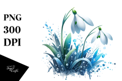 Snowdrop Splash PNG Product Image 1