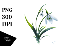 Snowdrop Splash PNG Product Image 1