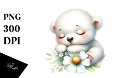 Digital Watercolor Cute Baby Polar Bear PNG Product Image 1