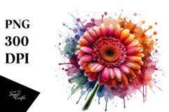 Gerbera Splash PNG Product Image 1