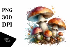 Mushroom Watercolor Splash PNG Product Image 1