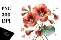 Nasturtium with Watercolor Splash PNG Product Image 1