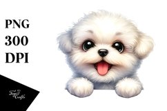 Sublimation|Clipart Product Image 1