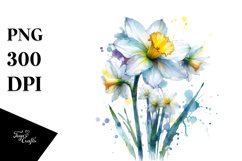y Narcissus | Clipart Product Image 1