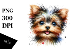 Baby Yorkshire Terrier with Big Eyes, Transparent PNG Product Image 1