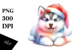 Cute Santa Hat Cat PNG Product Image 1