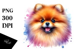 Vibrant Pomeranian Clipart Product Image 3