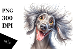 Cute Weimaraner Portrait, Transparent PNG Product Image 1