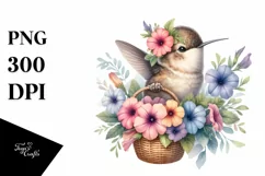 Watercolor Boho Baby Hummingbird Clipart Product Image 1