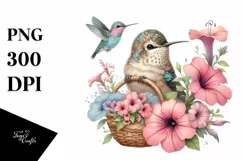 Watercolor Boho Baby Hummingbird Clipart Product Image 3