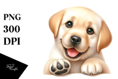 Baby Labrador Retriever PNG Product Image 1