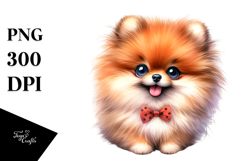 Cute Pomeranian with Big Eyes PNG Product Image 1