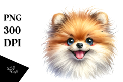 Cute Pomeranian PNG Product Image 1