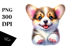 Expressive Baby Pembroke Welsh Corgi, Transparent PNG Product Image 1