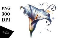 Shiny Calla Lily | Clipart Product Image 1