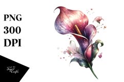 Shiny Calla Lily | Clipart Product Image 3