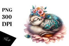 Cute Baby Peacock with Flower PNG Product Image 1