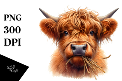 Highland Cow Portrait | Clipart Product Image 1