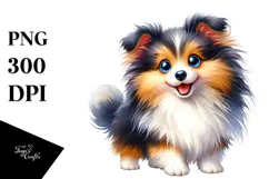 Cute Shetland Sheepdog, Transparent PNG Product Image 1