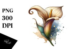 Wooden Stained Calla Lily | Clipart Product Image 1