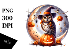 Owl Dressed for Halloween on Half Moon, High-Res PNG Product Image 1