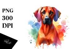Cute Colorful Rhodesian Ridgeback Watercolor Clipart Product Image 3