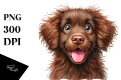 Cute Chesapeake Bay Retriever, Transparent PNG Product Image 1