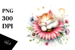 Baby Cat Sleeping on Flower PNG Product Image 1