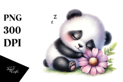 Digital Baby Panda, Sleeping on Flower PNG Product Image 1