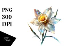 Glossy Narcissus | Clipart Product Image 3