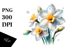 Glossy Narcissus | Clipart Product Image 1
