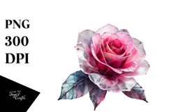 Rose, Transparent PNG Product Image 1