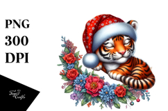 Sleeping Baby Tiger on Moon | Clipart Product Image 1