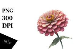 Zinnia with Gold PNG Product Image 1