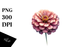 Zinnia with Gold PNG Product Image 1