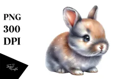 Cute Baby Bunny, Transparent PNG Product Image 1