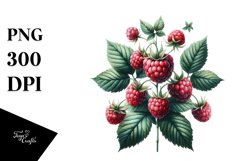 Sublimation|Clipart Product Image 3