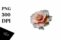 Glossy Pastel Carnation Golden Splash Clipart Product Image 3