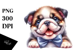 Baby Bulldog, Transparent PNG Product Image 1